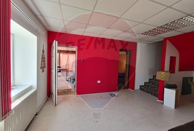 Casă individuală cu 3 camere cu Teren 2175 Mp în Mailat - 4