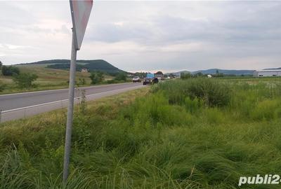 Teren de 200 mp, în Sărățel - 4