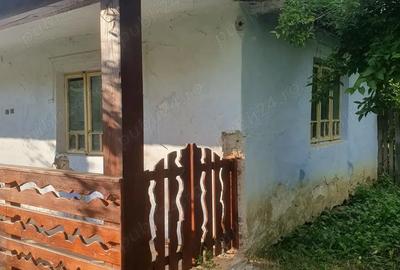 Casa 64 mp util, 2 camere + hol mare refacut, 4.100 mp intravilan - 3