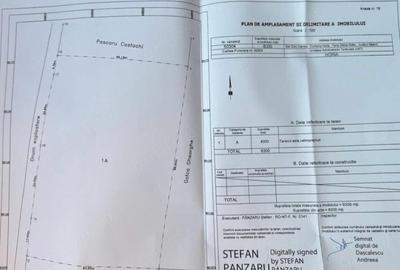 Teren de 6300 mp, în Cotu Vameș - 1
