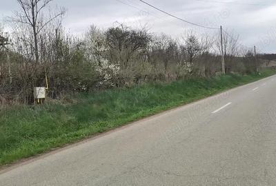 Casă cu 2 camere cu Teren 2900 Mp în Central - 1