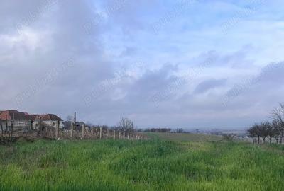 Casa de vanzare in sat Dobricione?ti - 1