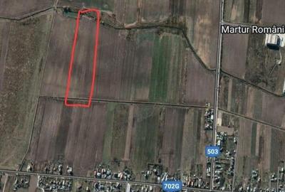 Teren de 23200 mp, în Căteasca - 3