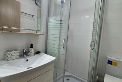 Apartament cu 3 camere decomandat, mobilat în Ferdinand - 7