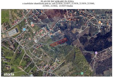 Spațiu comercial, în Paleu - 2