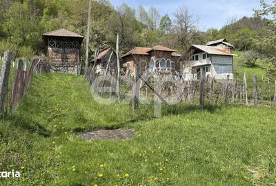 Spațiu comercial, în Bârseștii de Sus - 11