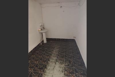 Spatiu comercia zona Penny Malu Rosu - 6