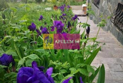 Vilă de vânzare în Poiana Câmpina - 3