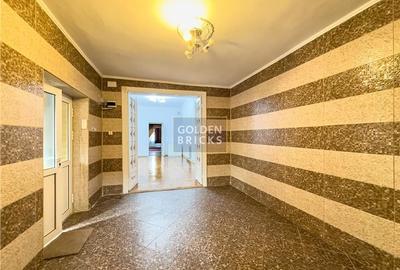 Pache Protopopescu | PROTV | Vizibilitate |  Curte 250 mp | Garaj - 23