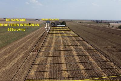Teren de 482 mp, în Berceni