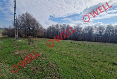 De vânzare teren extravilan în localitatea Brădet! De vânzare teren extravilan în localitatea Brădet! - 3