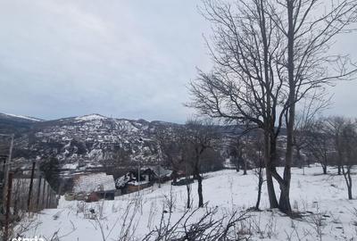 Casă cu 4 camere cu Teren 12000 Mp în Central - 6