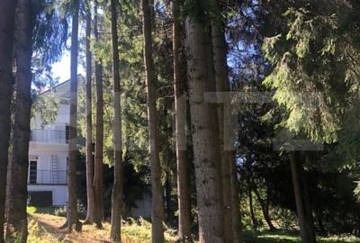 Afacere la cheie! Vila clasificata, 5 camere, 300 mp, teren 1600 mp - 17