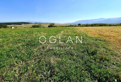 Teren Construcții intravilan de 2325 mp, în Arhitecților - Calea Cisnădiei - 1