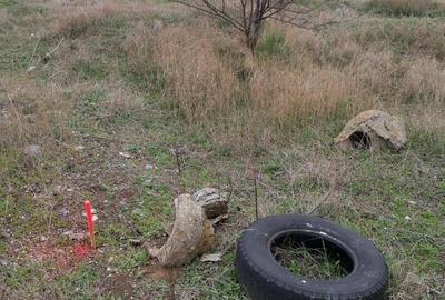 Teren Construcții intravilan de 306 mp, în Palazu Mare - 6