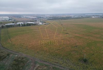 Teren extravilan in zona industriala dezvoltata | Dumbravita - Giarmata - 2