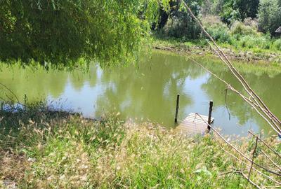 Casă cu 2 camere în Băltenii de Jos - 3