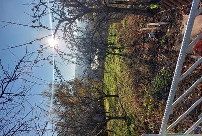 Casă cu 3 camere în Huși - 2