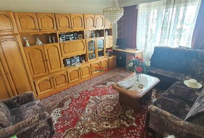 Casa cu etaj,S+P+E 791mp teren Zona Schit - 10