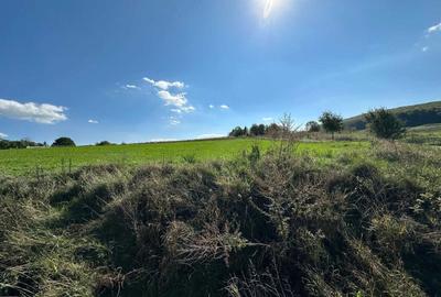 Teren de 4300 mp, în Adâncata - 6