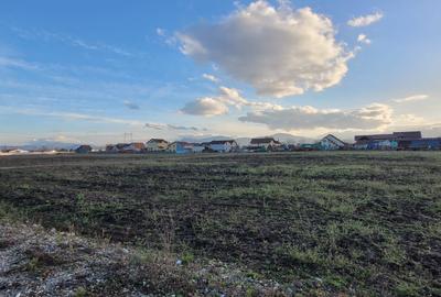 Teren Construcții intravilan de 605 mp, în Hălchiu - 2