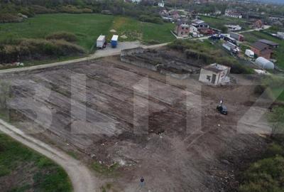 Teren de 10000 mp, în Abator - 3