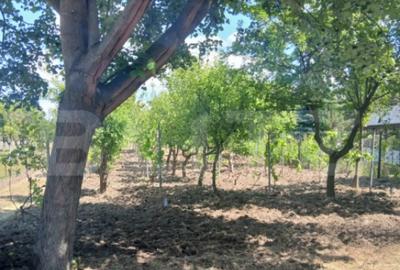 Casă cu 2 camere cu Teren 799 Mp în Central - 3