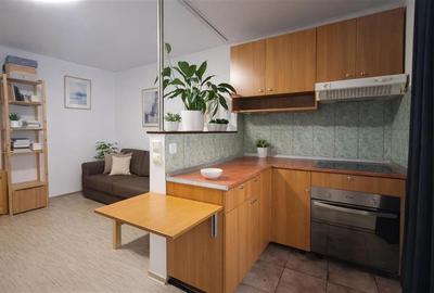 Camera de camin cu baie proprie si mica bucatarie, Astra, Brasov - 10