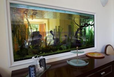 SNAGOV | VILA DE LUX CU 90M DESCHIDERE LA LAC | POZITIE EXCEPTIONALA - 27