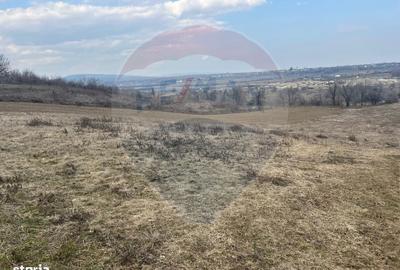 Spațiu comercial, în Dumbrăveni - 4