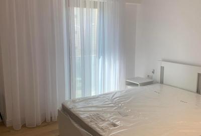 APARTAMENT SPATIOS PIATA VICTORIEI - 8