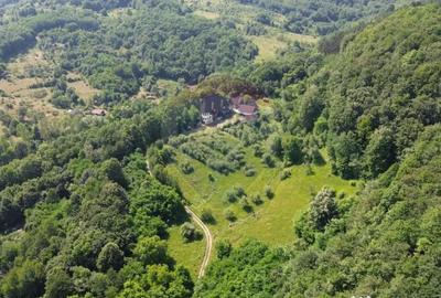 Casă cu 10 camere cu Teren 24700 Mp în Berchez - 5