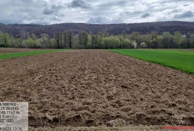 Casă cu 1 camere cu Teren 15000 Mp în Central - 2