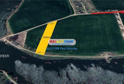 Teren Construcții intravilan de 5000 mp, în Balotești - 2