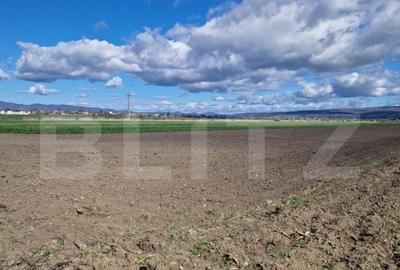 Teren de 15000 mp, în Central