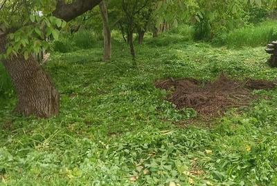 Teren de 707 mp, în Fălticeni - 2