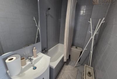 Apartament cu 2 camere nedecomandat, mobilat în Moșilor - 14