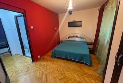 Apartament cu 2 camere semidecomandat, mobilat în Podu Roș - 6