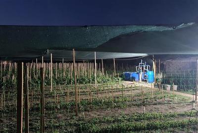 Casă individuală cu 2 camere cu Teren 1711 Mp în Topraisar - 6