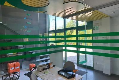 Hala productie 8000 mp - 1