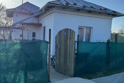 Casă cu 3 camere cu Teren 1980 Mp în Central - 1