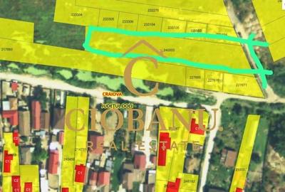 Teren Extravilan zona Cernele de vanzare - 6