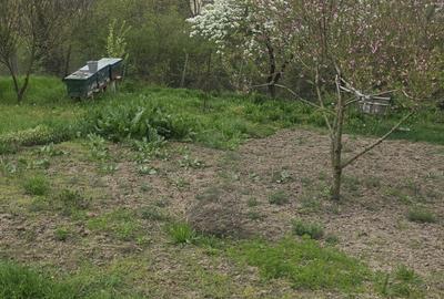 Casă cu 2 camere în Central - 7