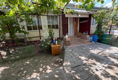 Casa de vanzare Store?ti Botosani - 5