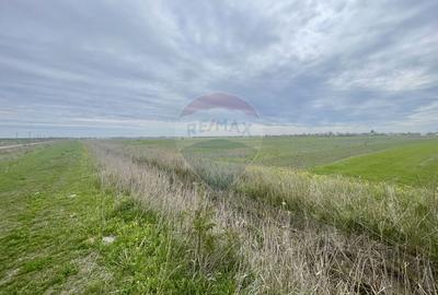 Teren Focsani / Drumul Suraii / Mandresti str Nuferilor - 4