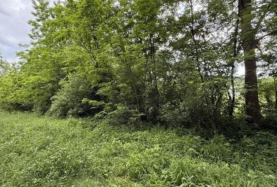 Teren de 683 mp, în Provița de Sus - 11
