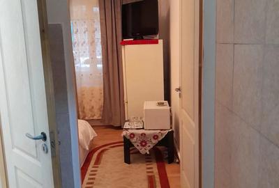 Garsonieră nedecomandată în Craiovița Nouă - 1