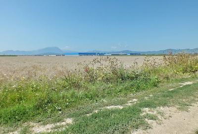 Pretabil Investitie - 2