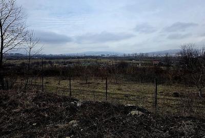 Spațiu comercial, în Sopor - 5