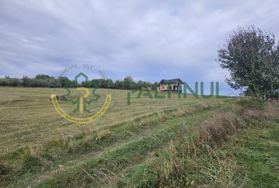 Teren Construcții intravilan de 649 mp, în Sadu - 1